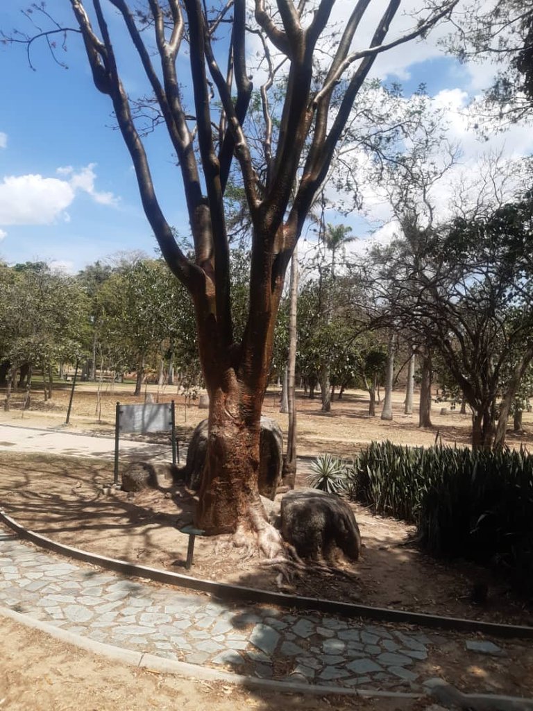 JARDIN XEROFILO FOTO 6.jpg