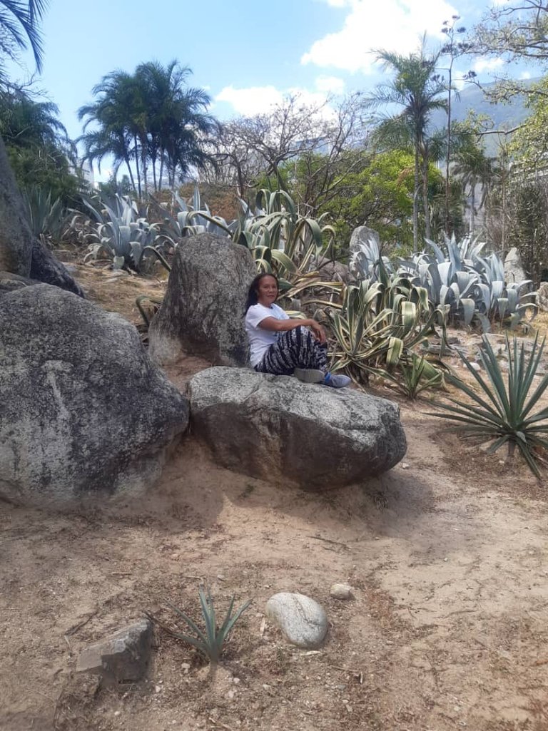 JARDIN XEROFILO FOTO 9.jpg