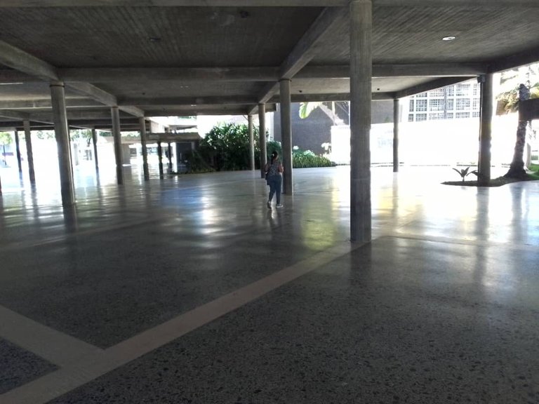 F13.jpg