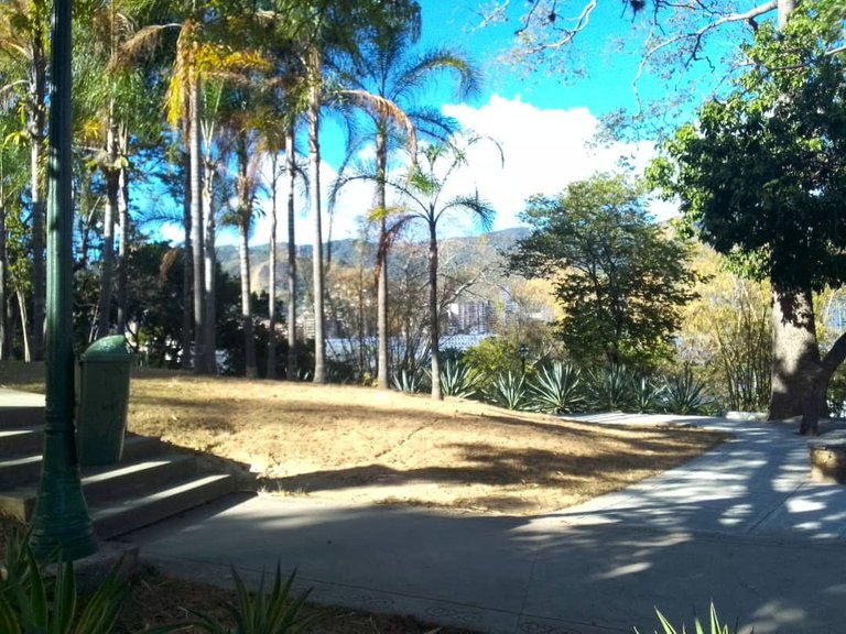 foto 6.jpg