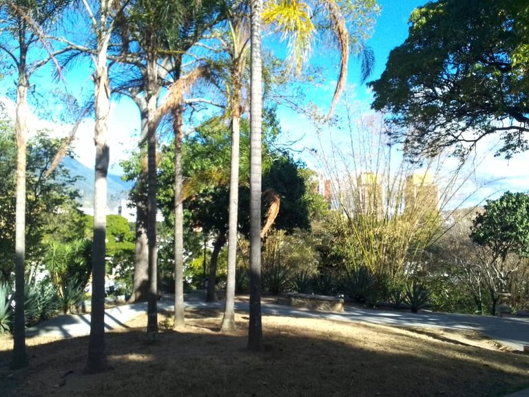 foto 7.jpg