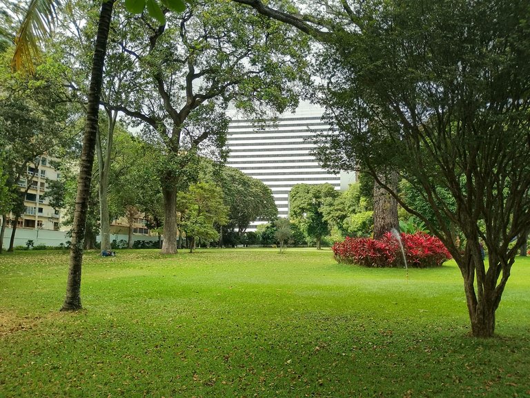IMG_20250121_144826_HDR.jpg