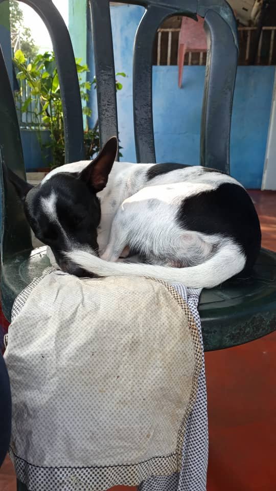 WhatsApp Image 2025-04-08 at 4.29.39 PM (3).jpeg