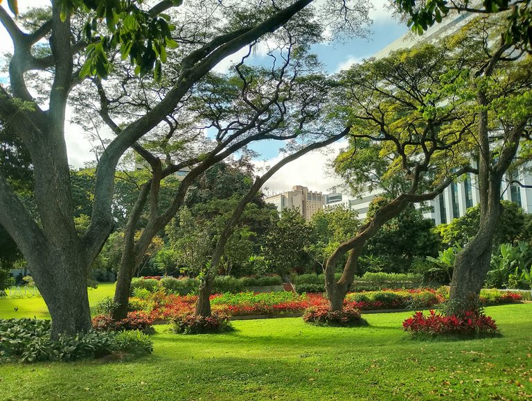 2-IMG_20250121_154536_HDR.jpg