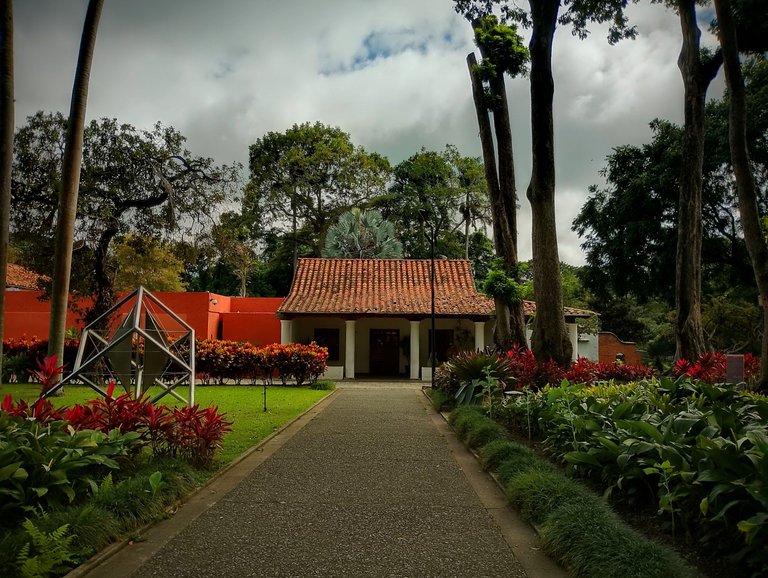 1-IMG_20250121_144310_HDR~2.jpg