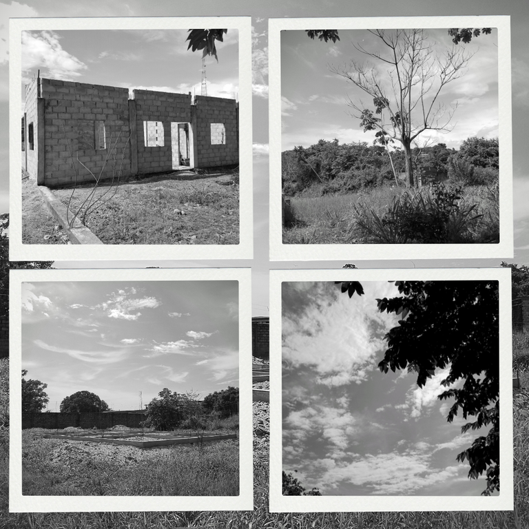 White Vintage Frame Organic Collage Instagram Post .png