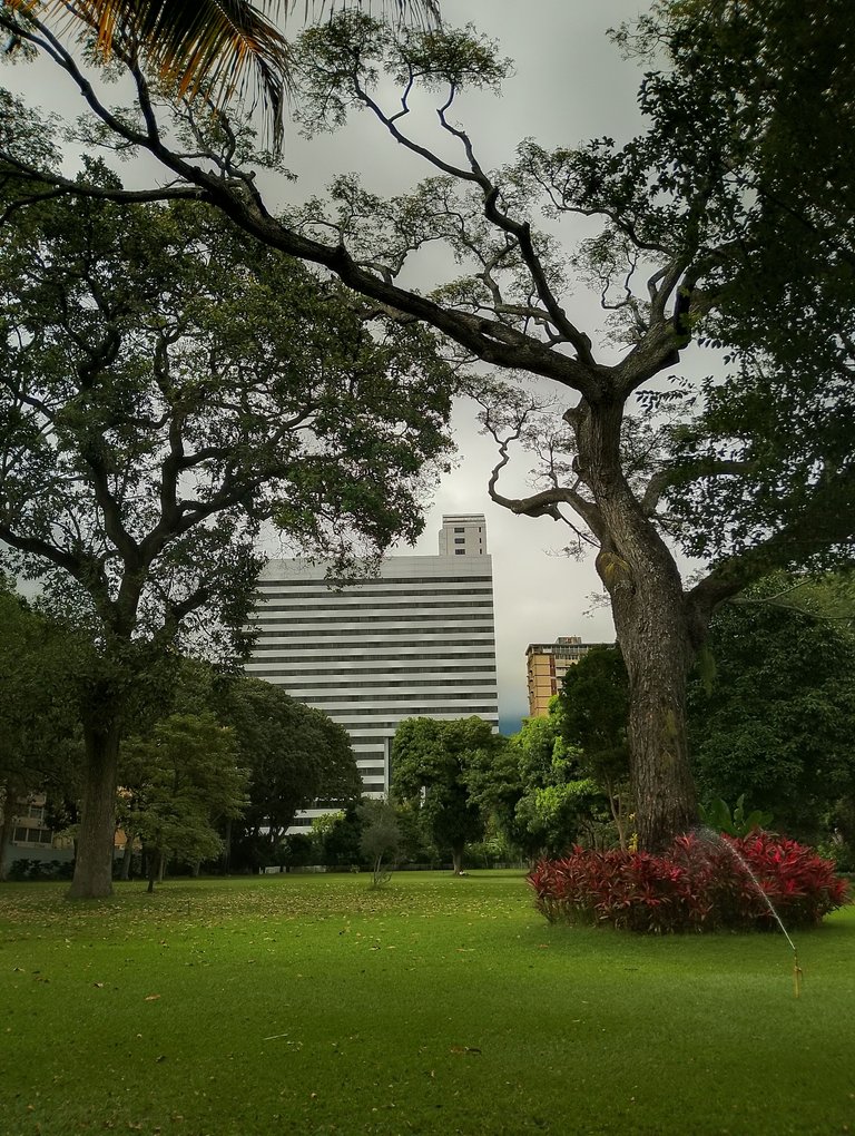 IMG_20250121_153559_HDR.jpg