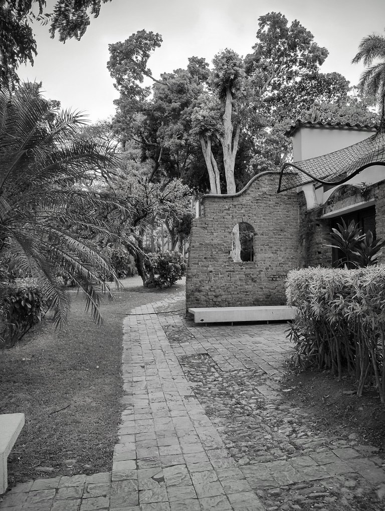 IMG_20250121_154039_HDR~2.jpg