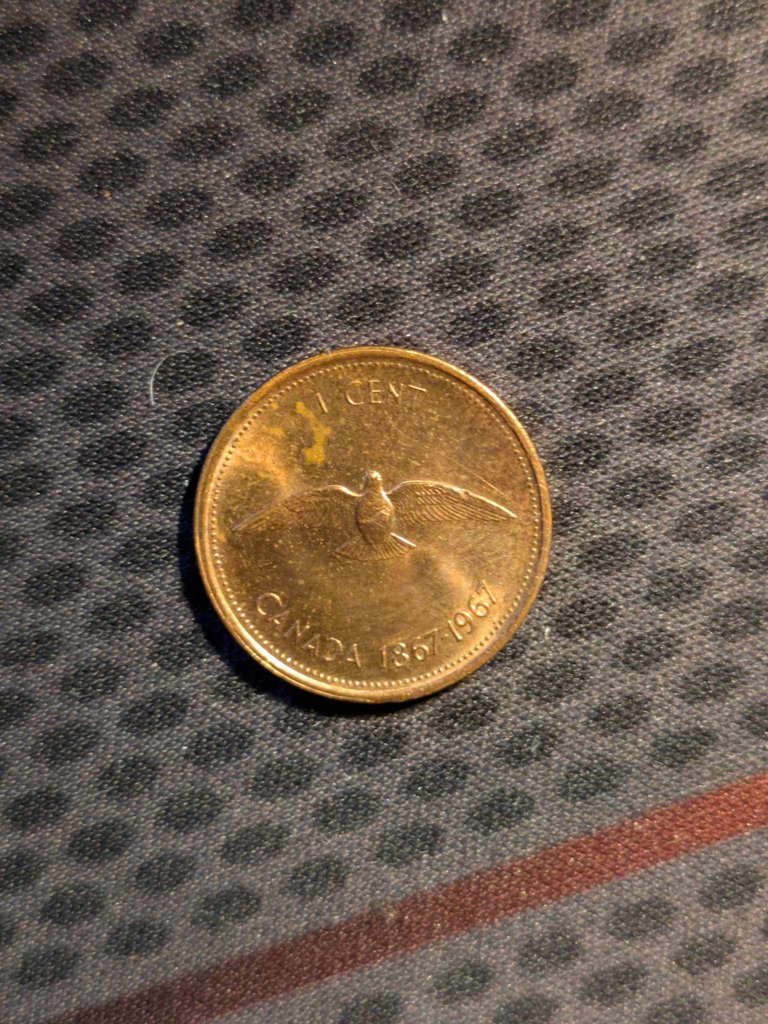 1 cent (1).jpg