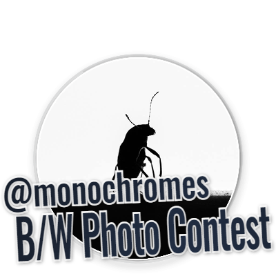 MONOMAD - September 27th - Please Read The Contest Rules Before Submitting Your Publications.