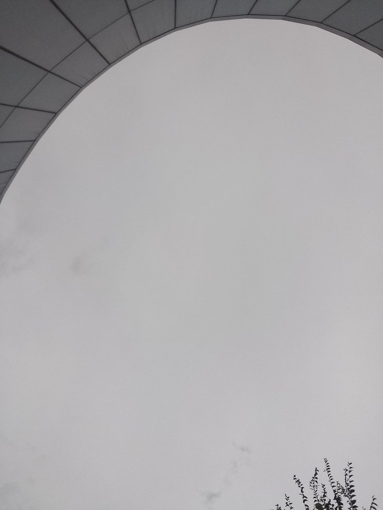 IMG_20240429_103011_447.jpg