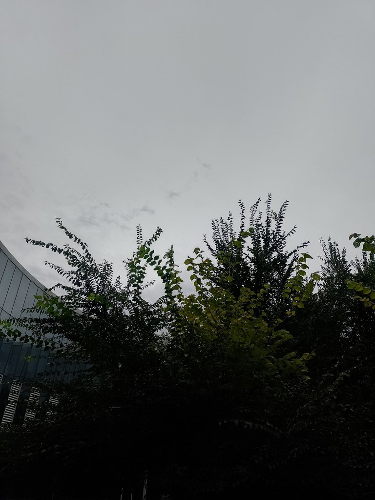 IMG_20240429_103017_421.jpg