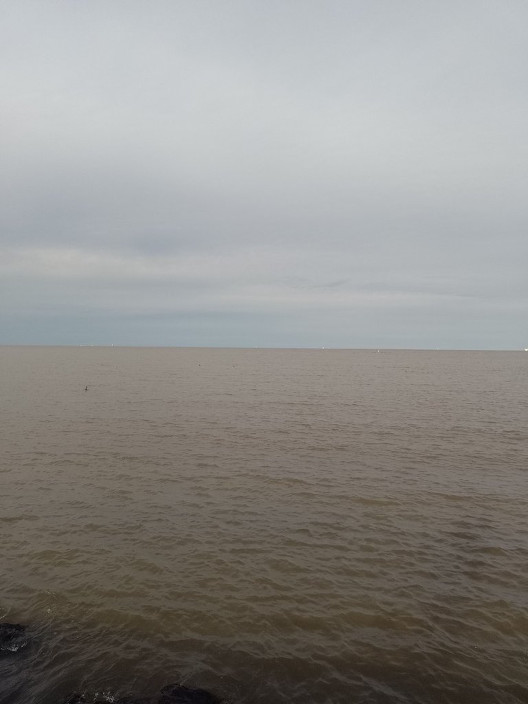 IMG_20230912_171555_702.jpg