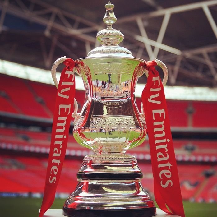 8c17a86d110b7696c886f3ef70c4b067--fa-cup--trophy-cup.jpg