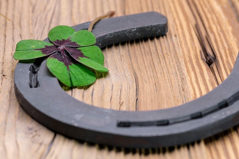 four-leaf-clover-7683775_1280.jpg