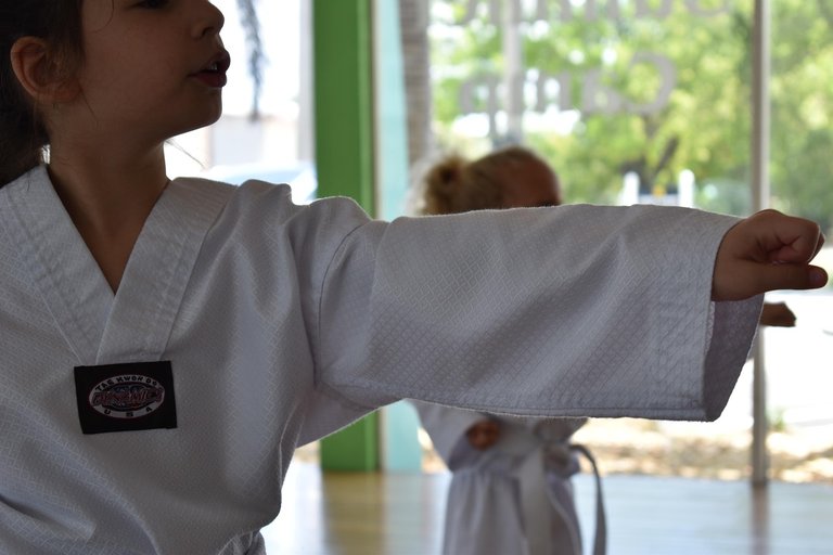 martial-arts-4255007_1280.jpg