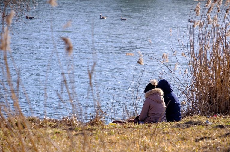 lake-4026595_1280.jpg
