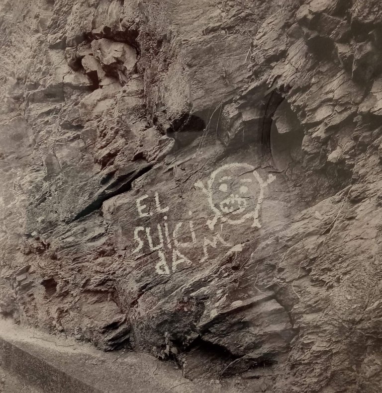 el suicida.jpg