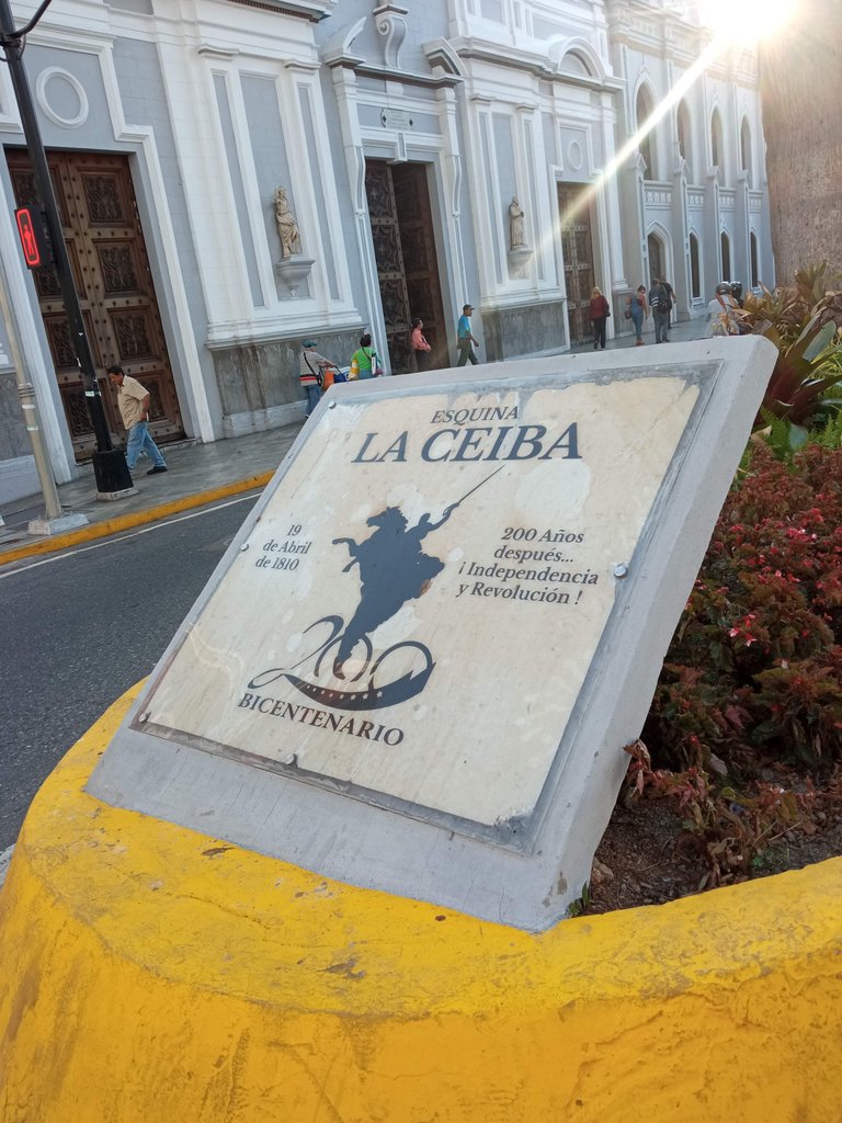 ceiba de San Francisco.jpg
