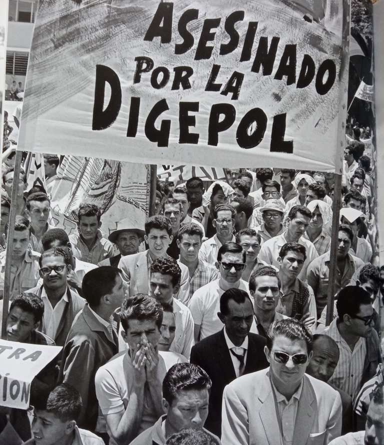 digepol.jpg