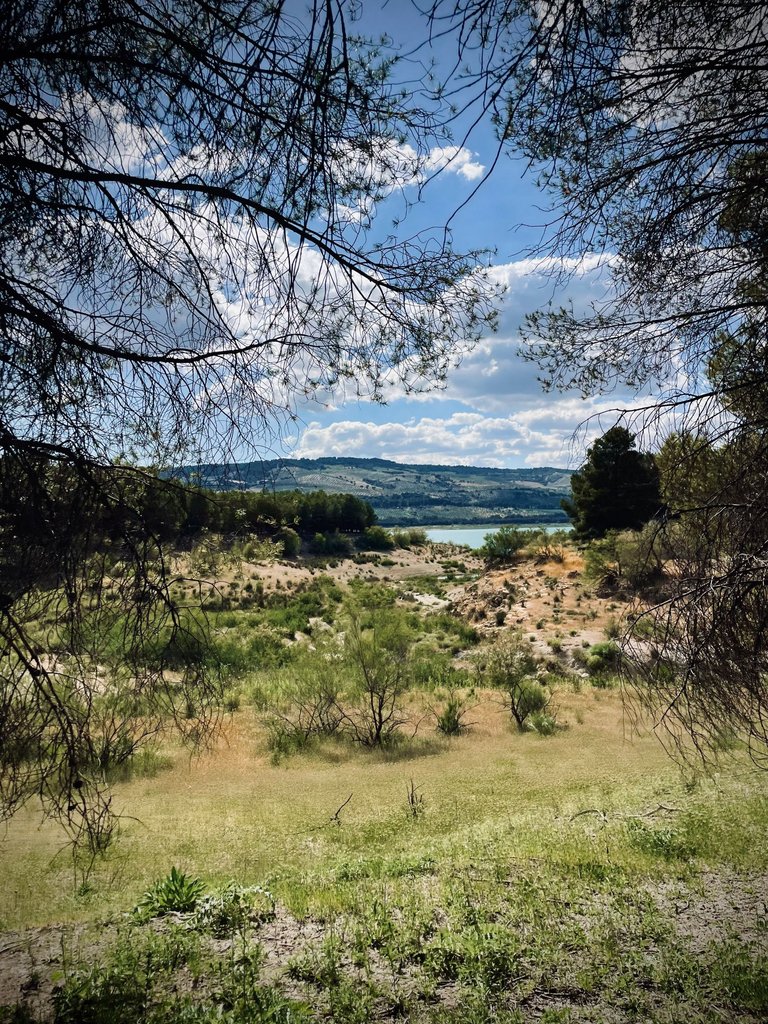 IMG_9816 2.jpeg