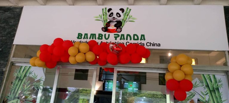 bambú panda solo.jpeg