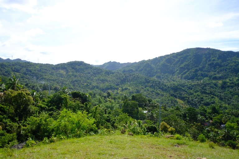 DSCF7923.JPG