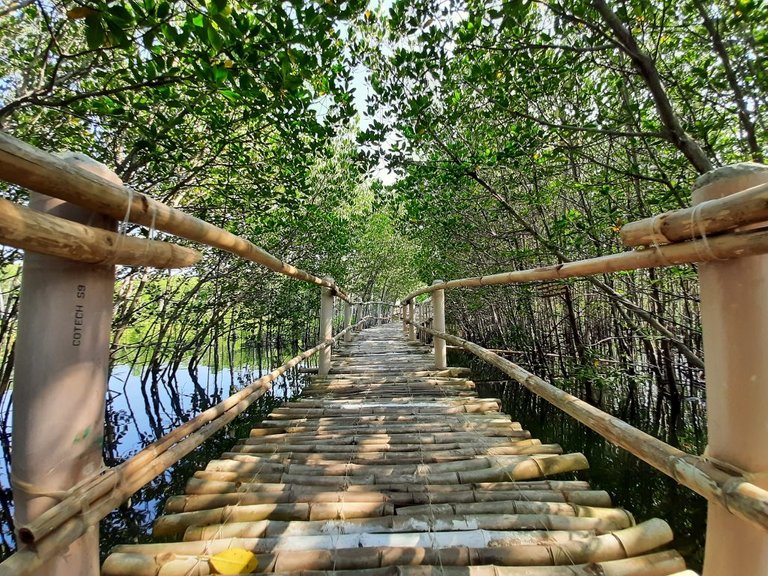 Omagieca-Mangrove-Garden-Sta.-Fe-Bantayan-Island-8-1-1024x768.jpg