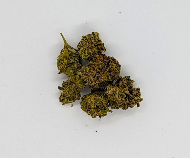 Cold Creek Kush best buds bundle top view