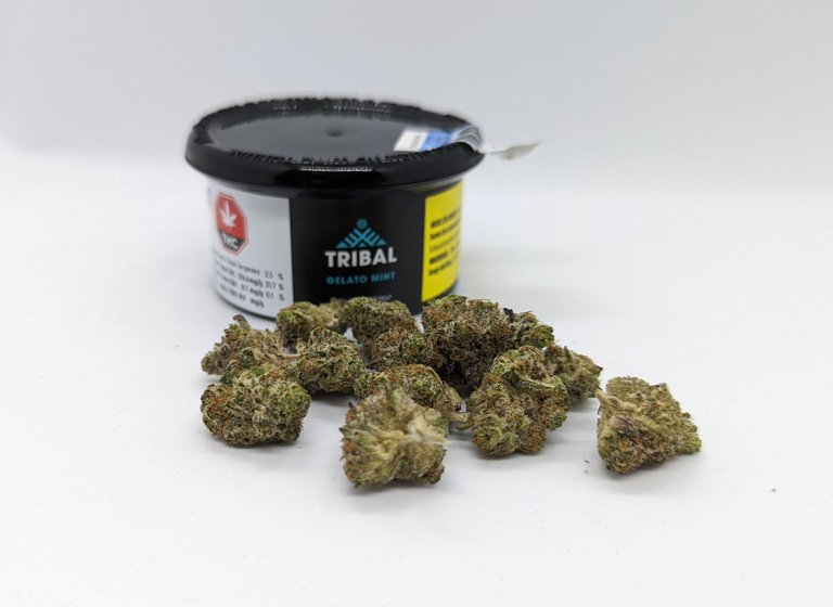 Gelato Mint - full content with packaging