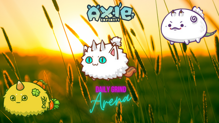 AXIE (21).png