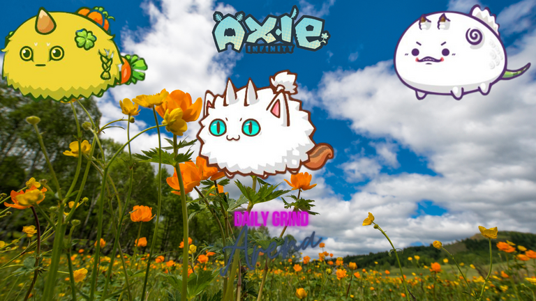 AXIE.png