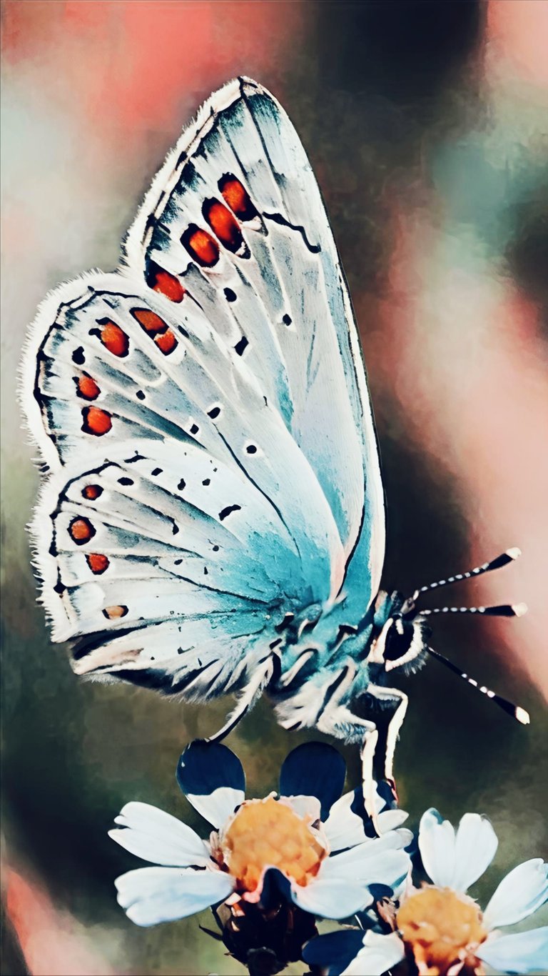 6VvuHGsoU2QBt9MXeXNdDuyd4Bmd63j7zJymDTWgdcJjo1YERyj5HmDcjgsNTwR5kKPtx57zD9eeMRau72U4fXnCdEBUhS6osxaP5hikKtCawCvQFu19LwWcQXFv6a.jpeg