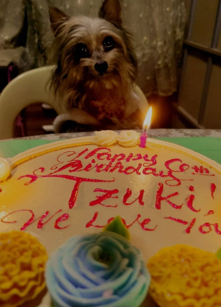 Tsuki's 6th birthday.jpg