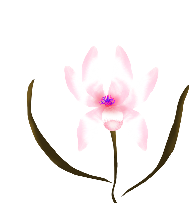 flor.png