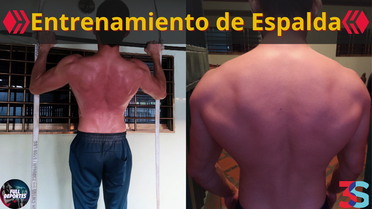 Entrenamiento de Espalda.png