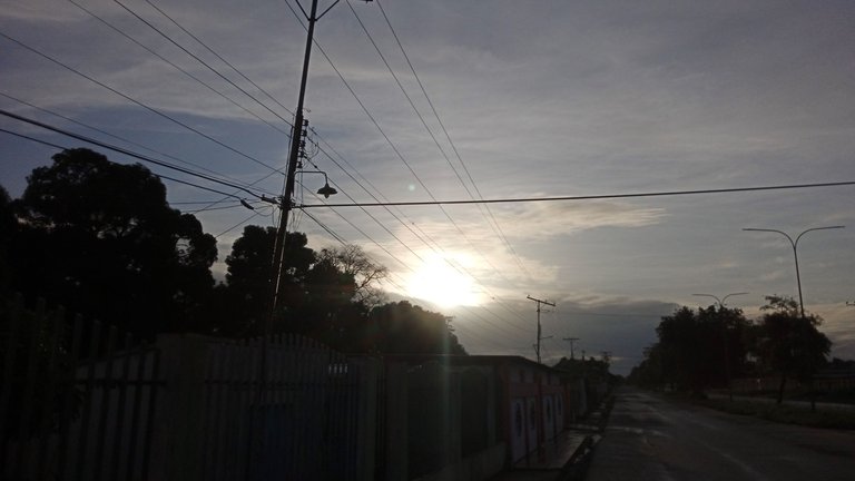 IMG_20250626_063434_1.jpg