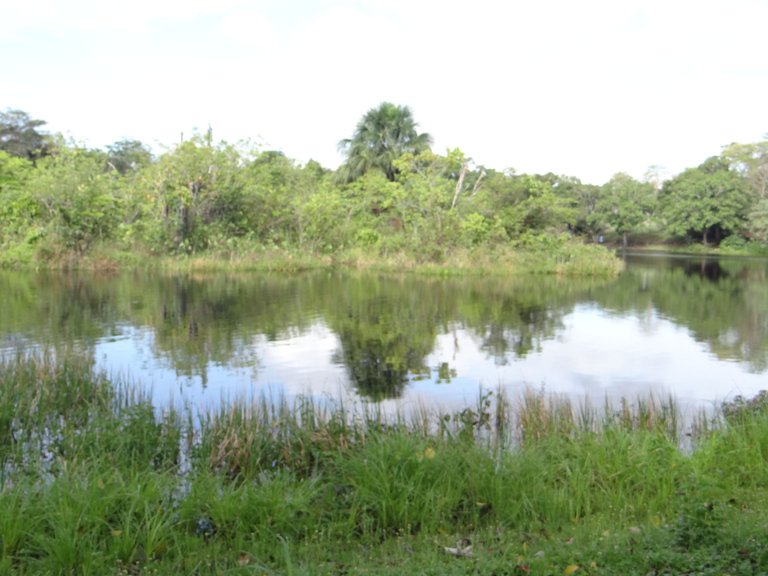 DSC00997.JPG