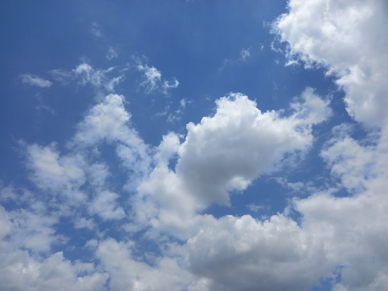 20240501_123611.jpg