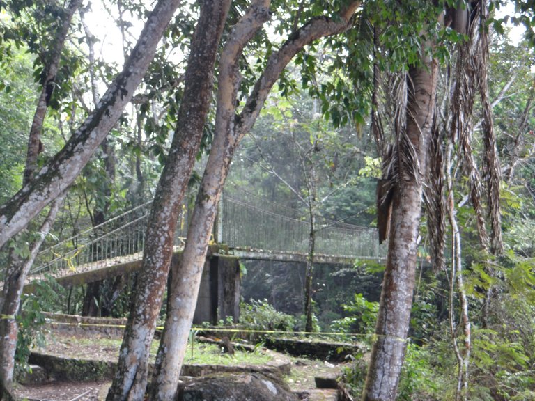 DSC01030.JPG
