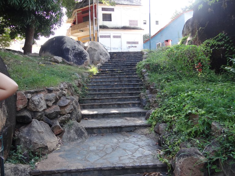 DSC07756.JPG