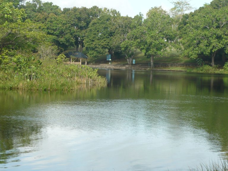 P1250091.JPG