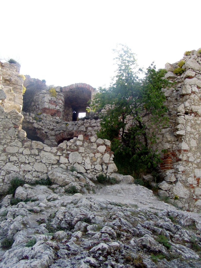 P1011874.JPG