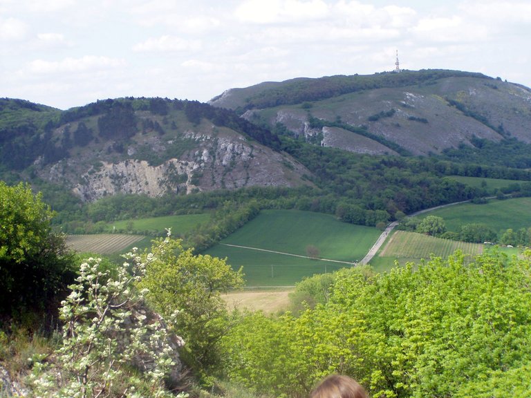 P1011824.JPG
