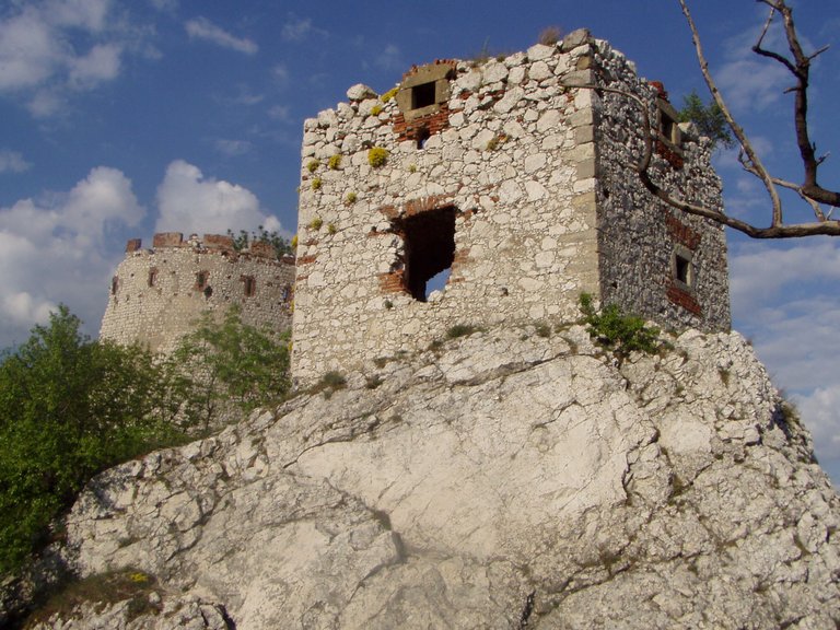 P1011869.JPG