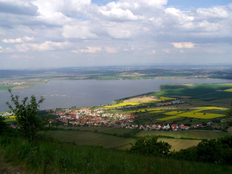 P1011835.JPG