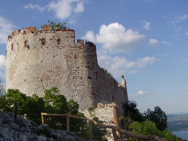 P1011870.JPG