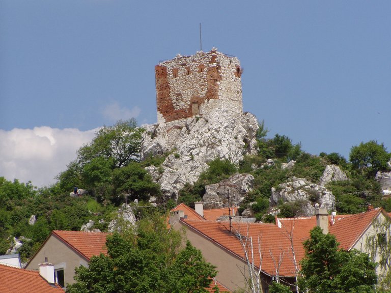 P1011799.JPG