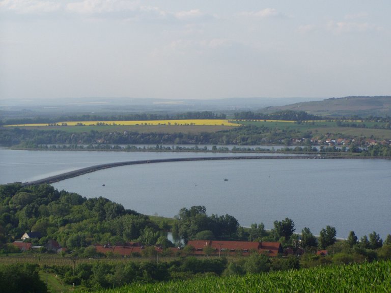 P1011879.JPG