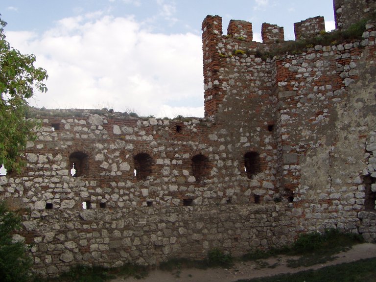 P1011861.JPG